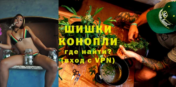 мдпв Богданович