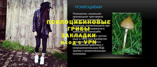 мдпв Богданович