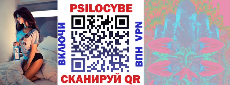 где можно купить наркотик Княгинино Псилоцибиновые грибы Cubensis