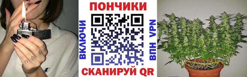 KRAKEN сайт  где продают наркотики  Княгинино  Бошки Шишки SATIVA & INDICA 